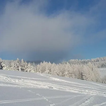 Privatunterkunft Nad Potokiem