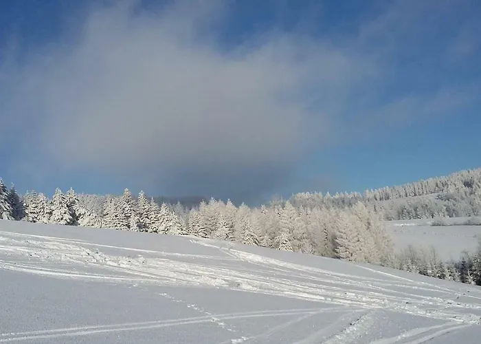 Kwatera prywatna Nad Potokiem